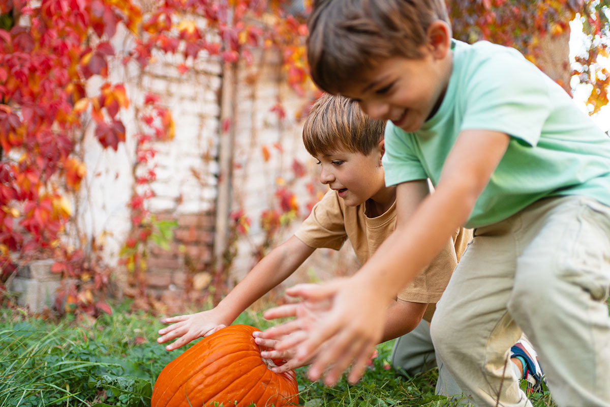 Pumpkin_Rolling_Race