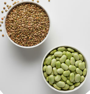 Bowl of lentils and lima beans