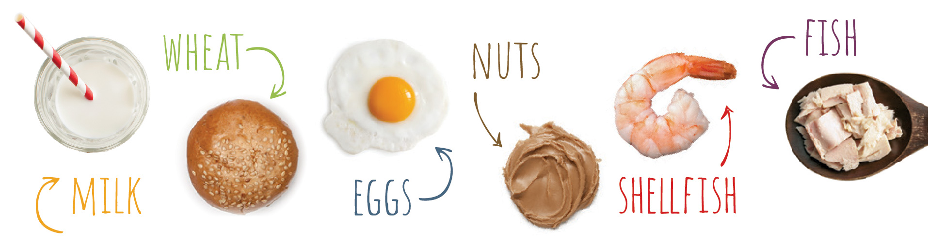 Milk, wheat, eggs, nuts, shellfish, and fish icons