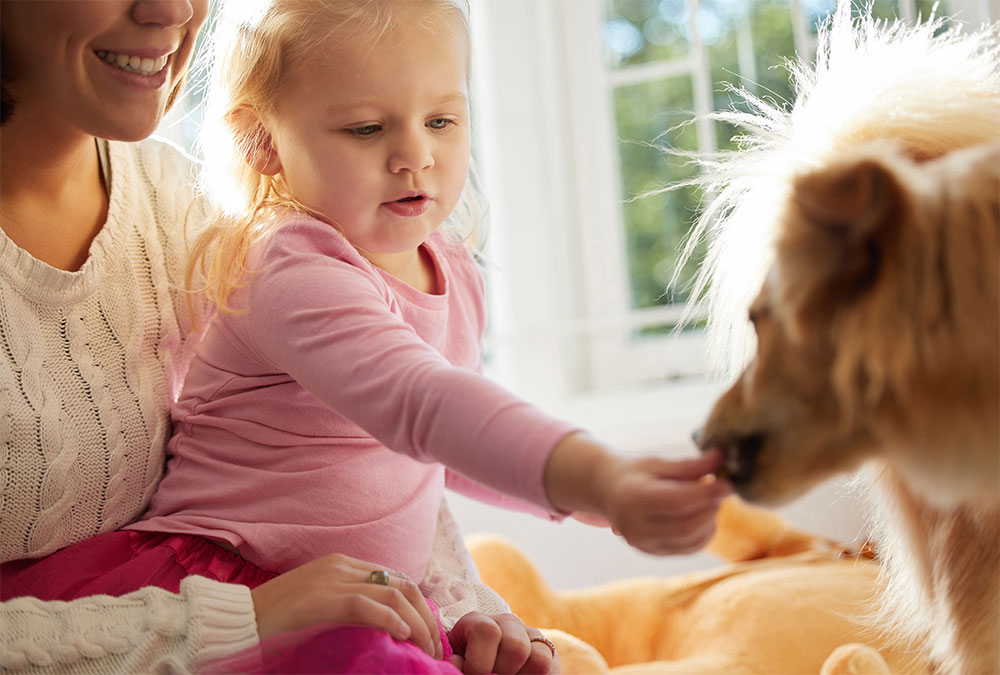 Child feeding a dog with a woman smiling nearby