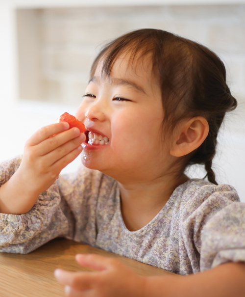 Meal & Snack Ideas for Preschoolers