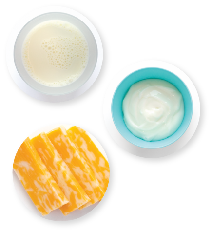 Milk, yogurt, and cheese displayed in bowls.