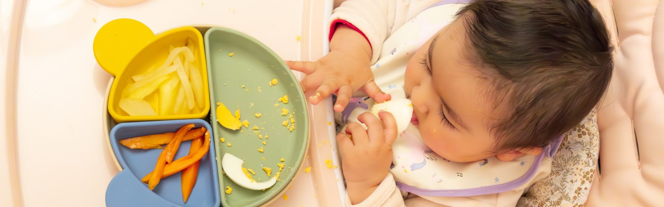 Baby-Led Feeding