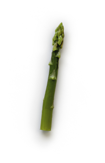 Cooked Asparagus