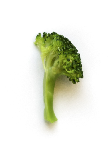 Cooked Broccoli Stem