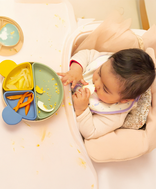 Baby-Led Feeding