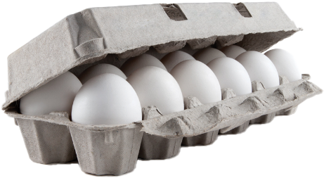 CartonOfEggs